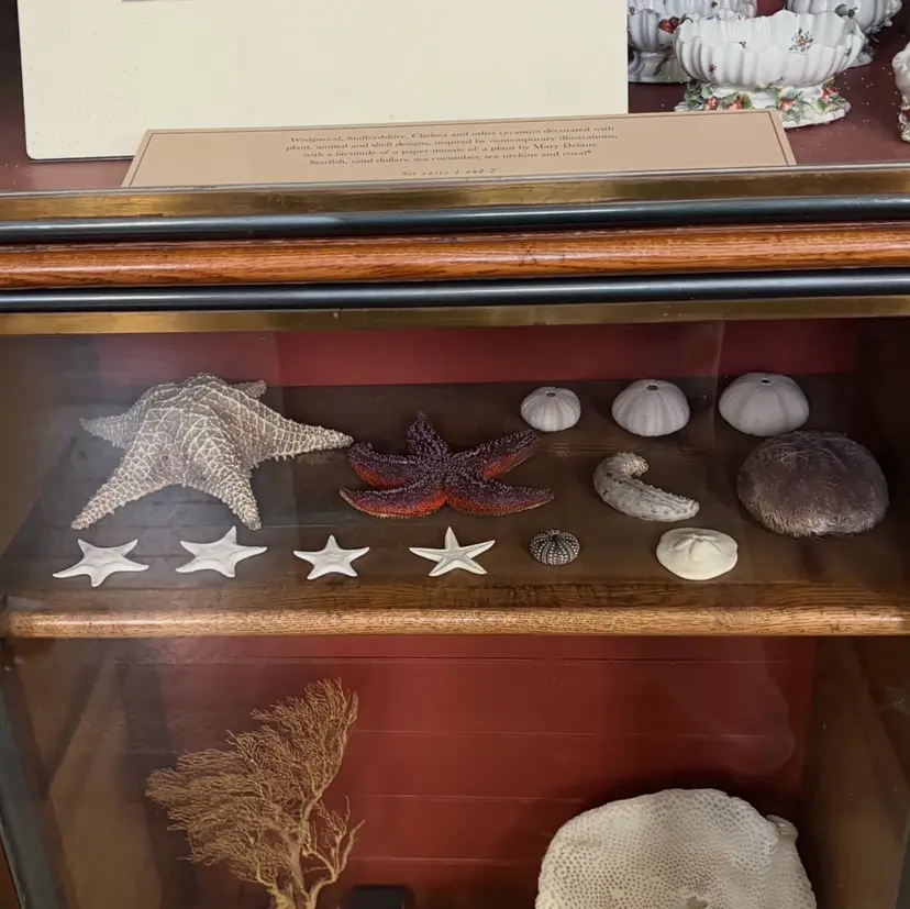 🌷 YURI🌷の掲載