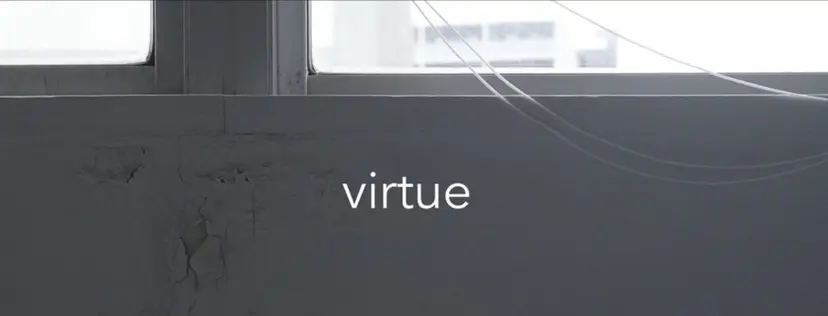virtue あいるの掲載