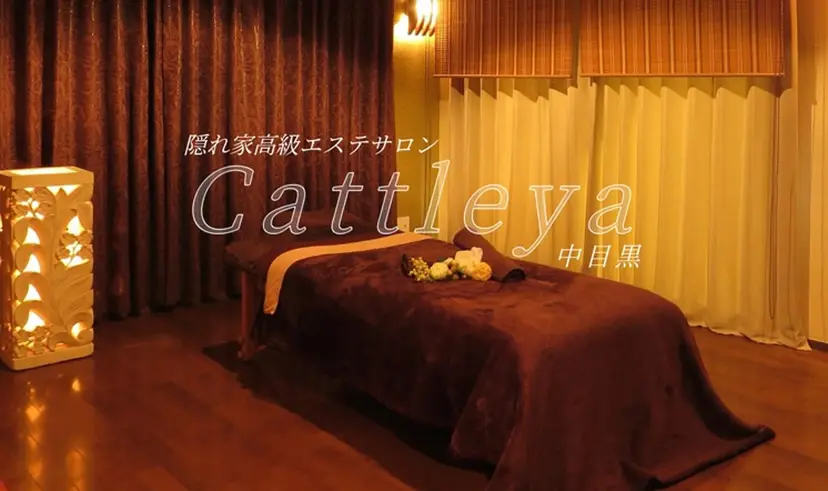 小倉 可琳の掲載