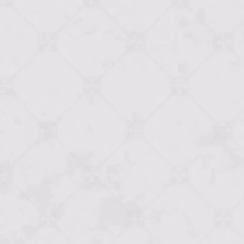 堀田 紗良の掲載