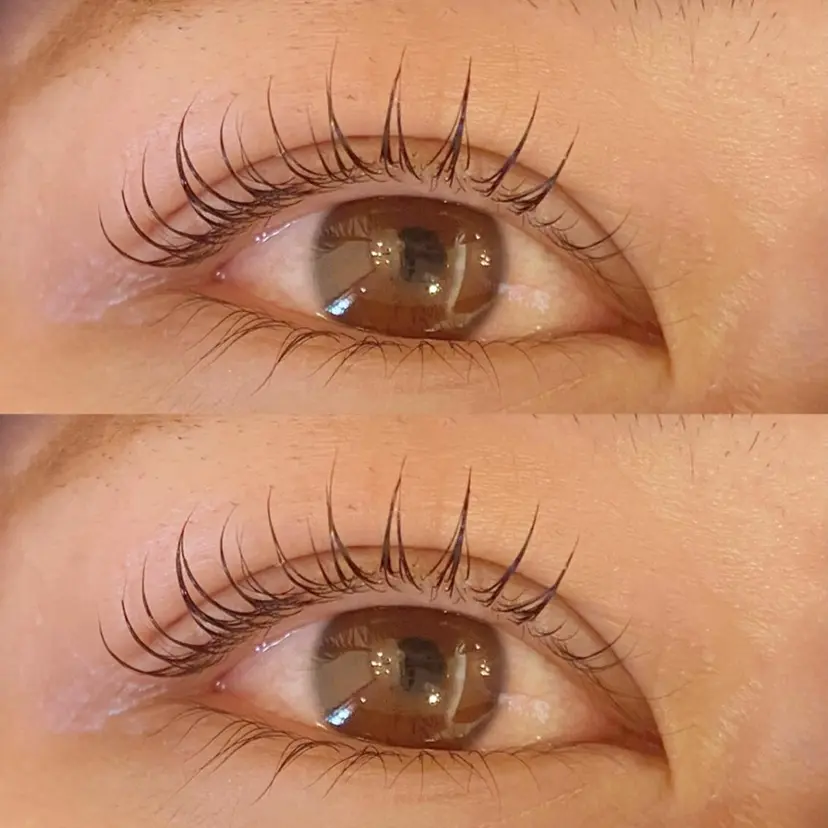 カイヅ コノミの掲載