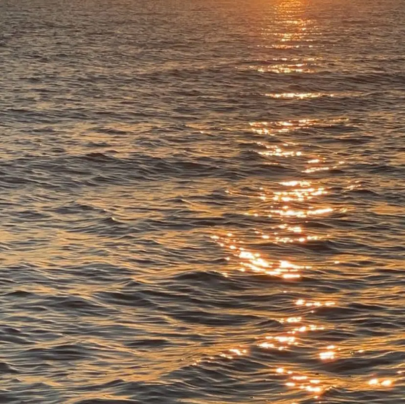 カラー / のんの掲載