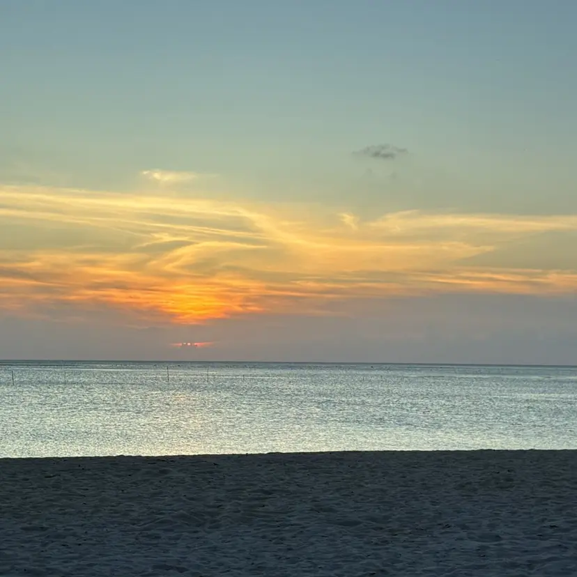 山本 悠理の掲載