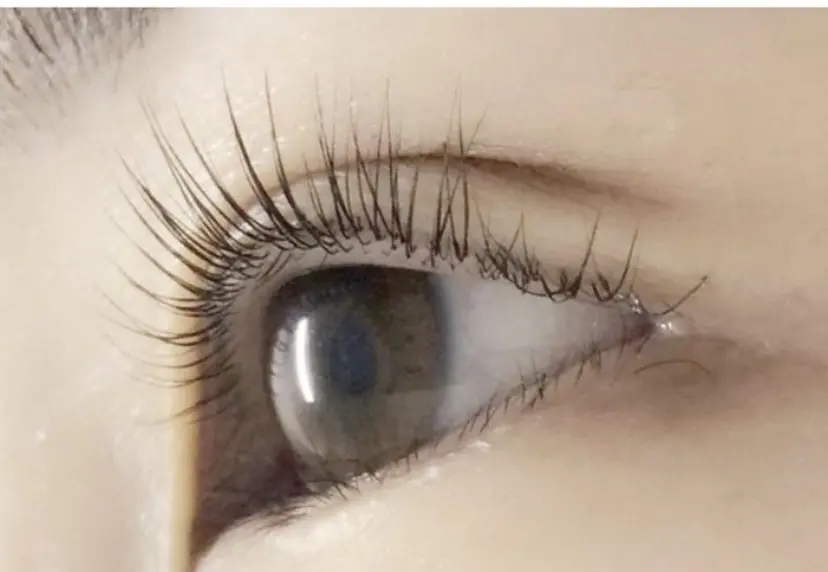 Eyelash HYの掲載