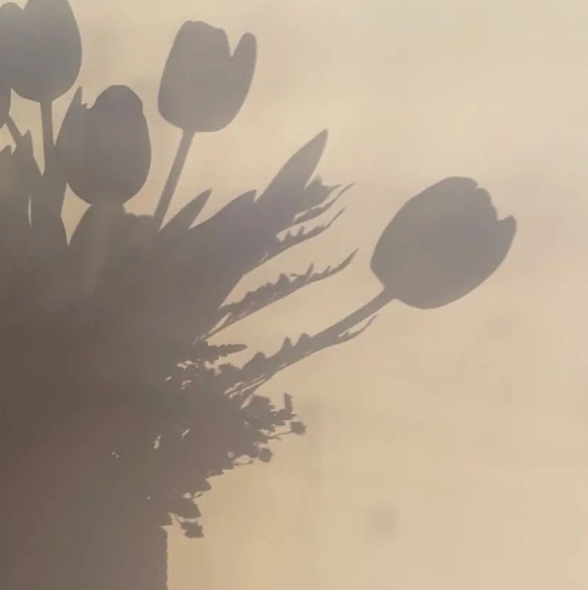 山田 春菜の掲載