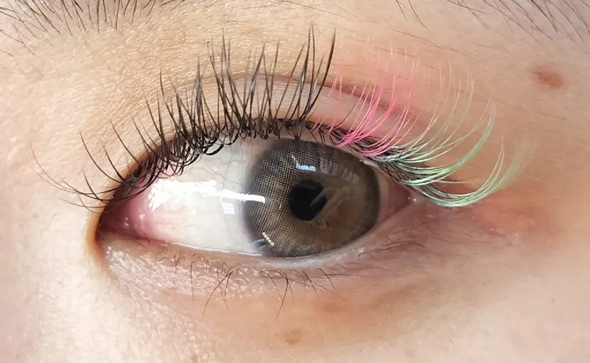 arms lash 白井の掲載