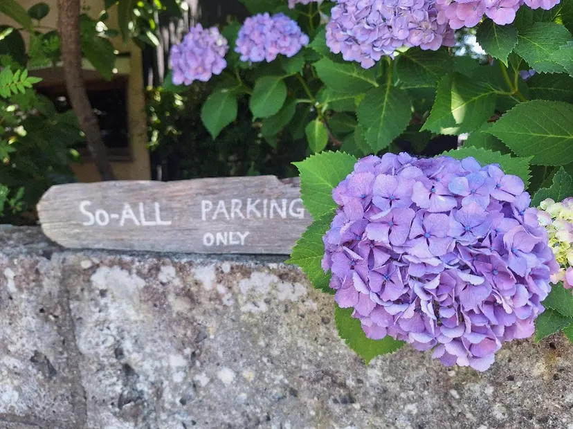 飯田 仁美の掲載