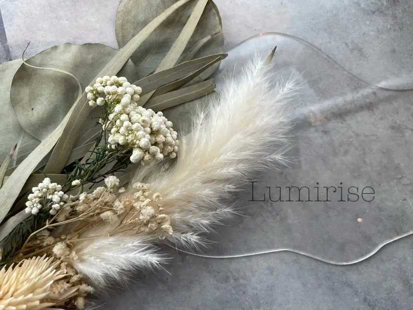 ルミライズ Lumiriseの掲載