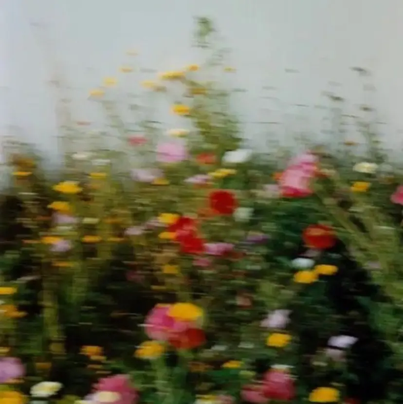 ESQUISSE リコの掲載