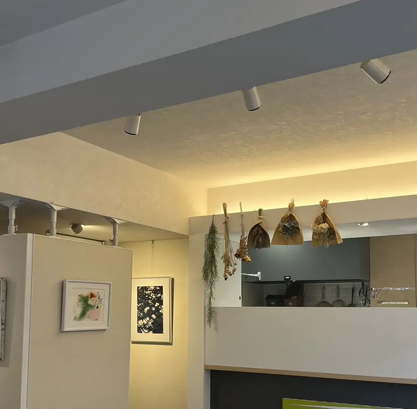 柿添 莉央の掲載