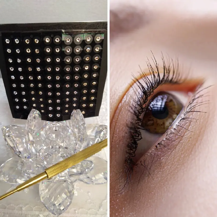 fumirisuto 踏の掲載