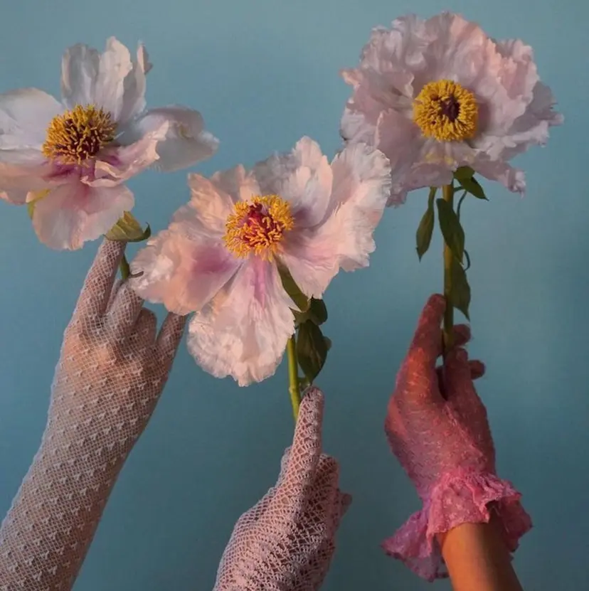 💗モデルカット 募集中の掲載