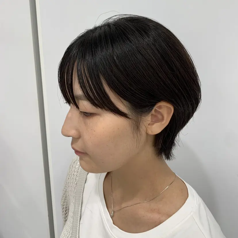 佐藤 志陽の掲載