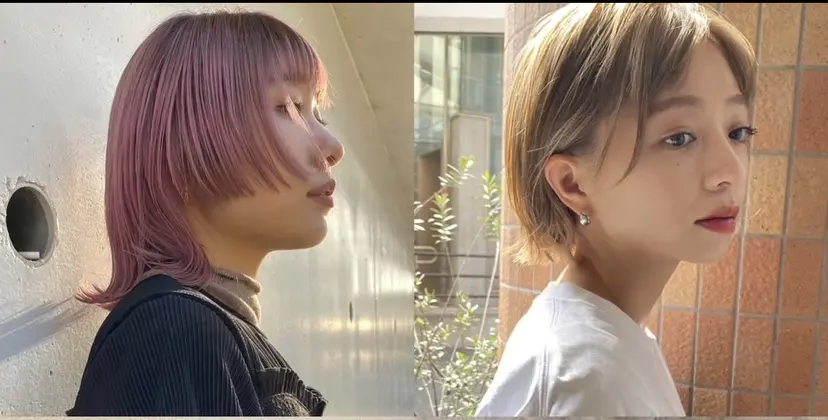 🧸Fiora 🧸arashi🧸の掲載