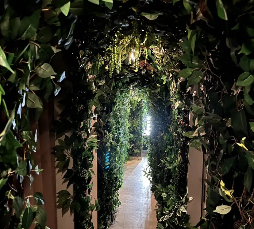 izaki satomiの掲載