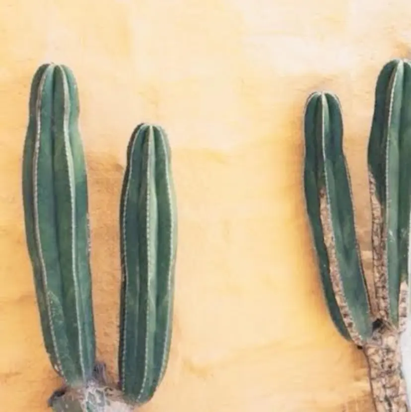 étora 新宿店 ☺︎の掲載