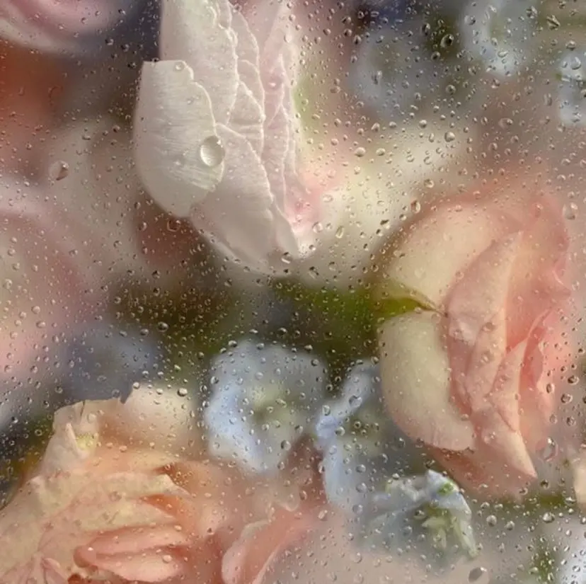 韓国レイヤー/暖色 カラー/KOTONEの掲載