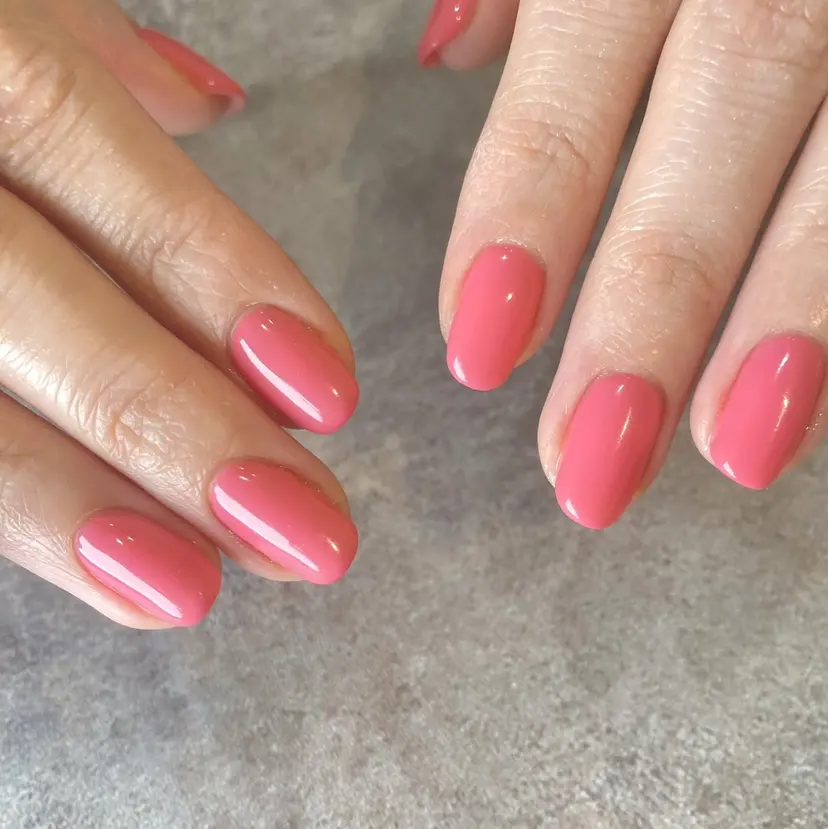 ANNE 綾瀬店 練習モデル様募集中の掲載