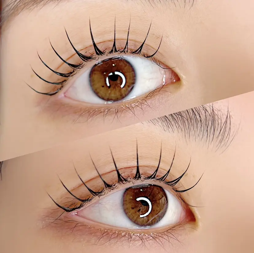 MURAYAMA SATOEの掲載