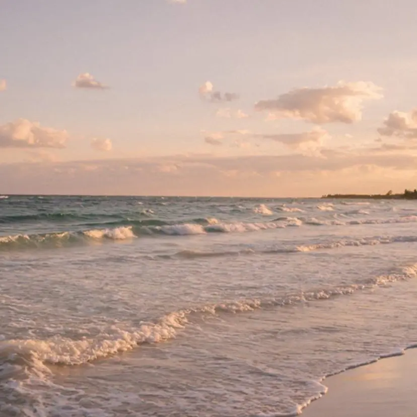 マツパ🦋 keikoの掲載