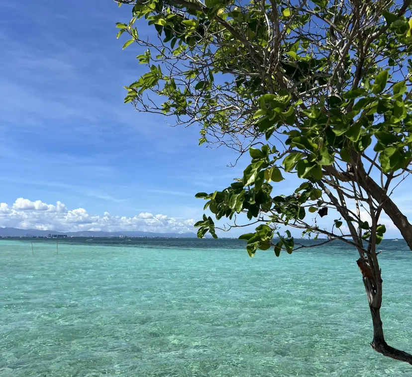 Allure小山店 Nagisaの掲載