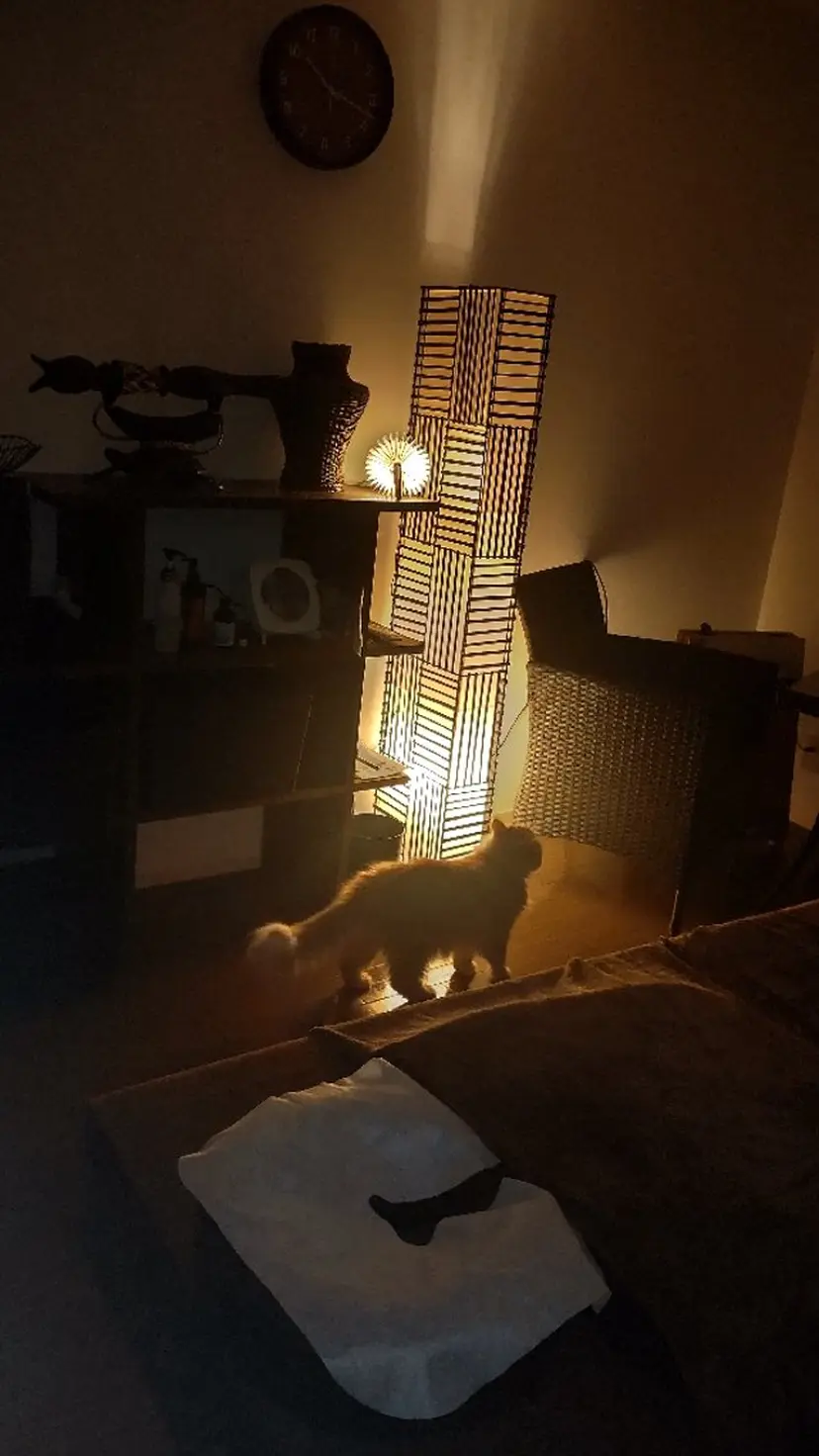 山本 広美の掲載