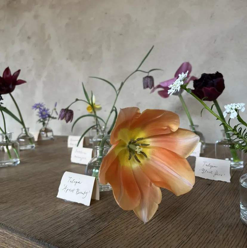 Sususu駒沢大学 Muiの掲載