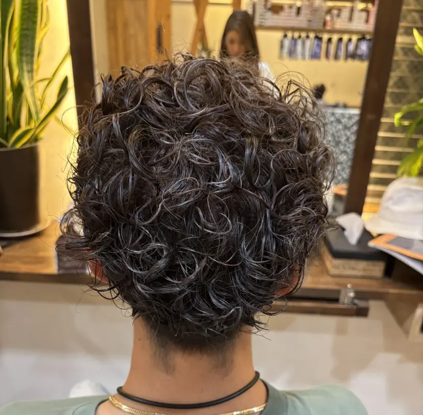 渡辺 えりかの掲載