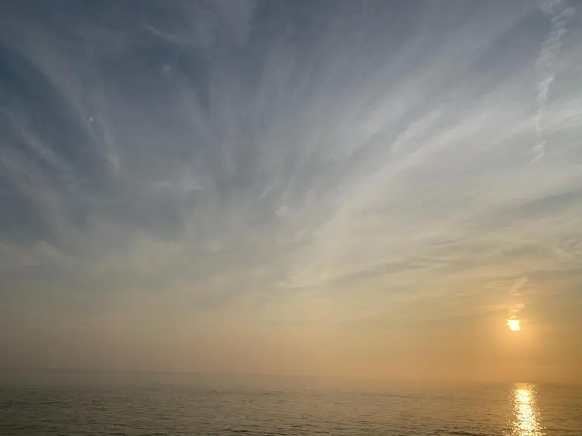 アルターエクラ 伊豆山の掲載