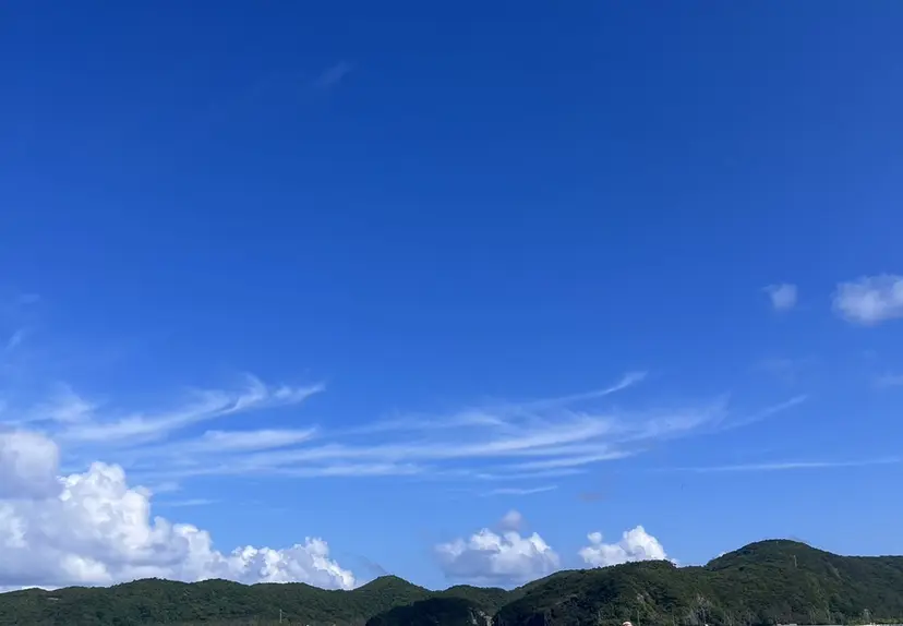 似合わせカット/ ナオ🐈‍⬛の掲載