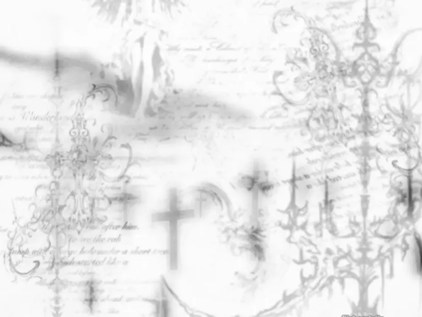 髙橋 和花の掲載