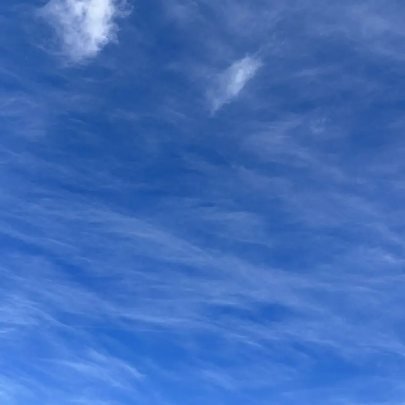 【Elun エルン】 gotoの掲載