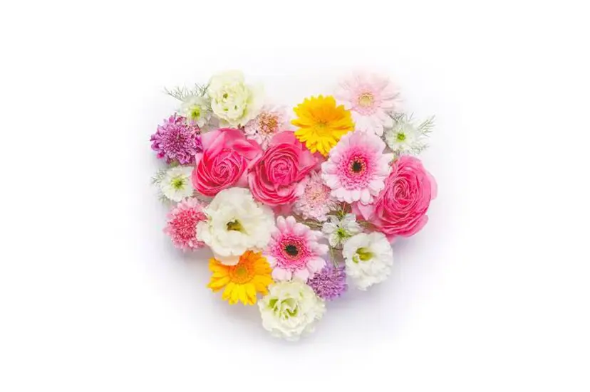 鈴木 琴乃の掲載