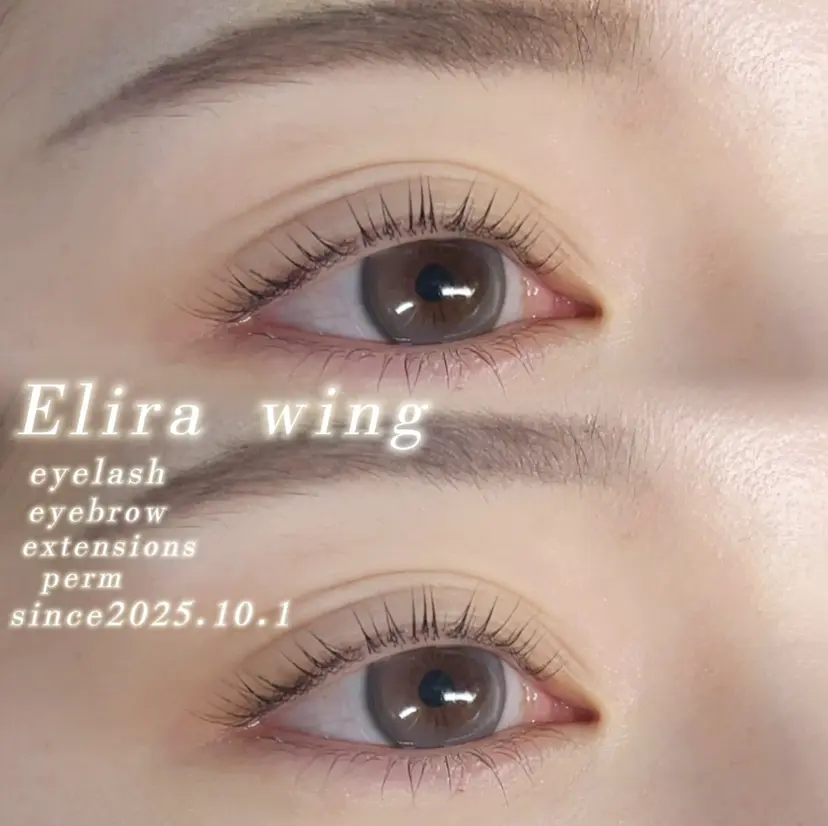 Elira wingの掲載