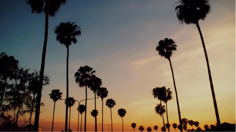 lula designの掲載