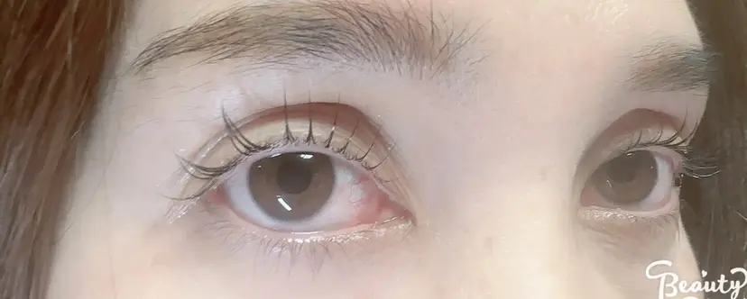 たな ごころの掲載