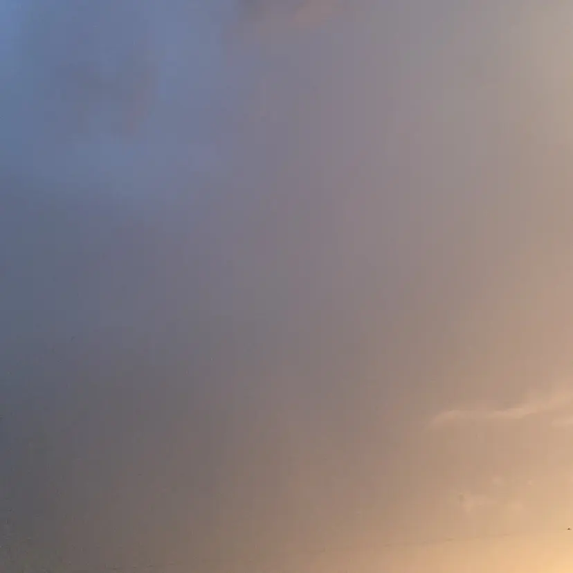 杉山 星菜の掲載