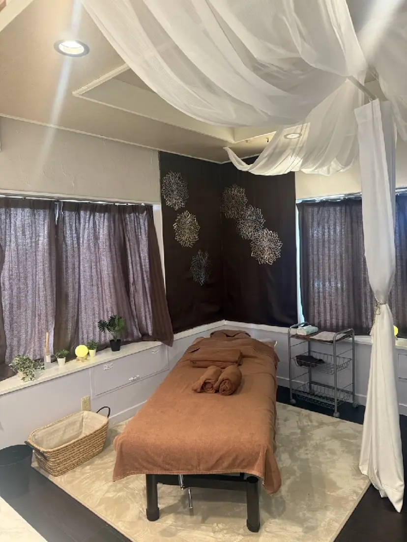 渡辺 有希子の掲載