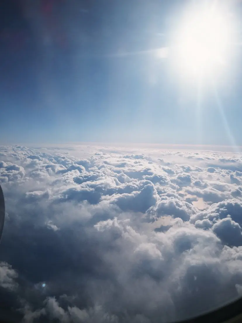 鎌田 流沙奈の掲載