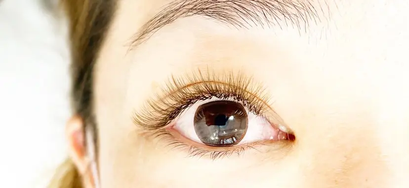 ふく ちゃんの掲載