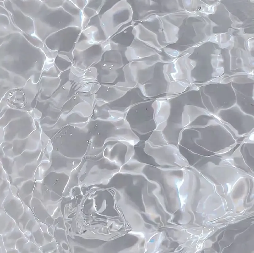 POP ポップの掲載