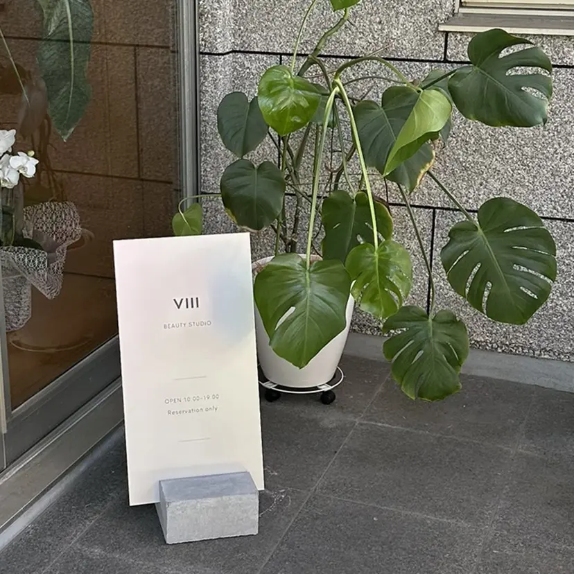 viii ヴィーの掲載