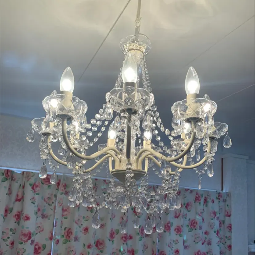 杉浦 伊世の掲載