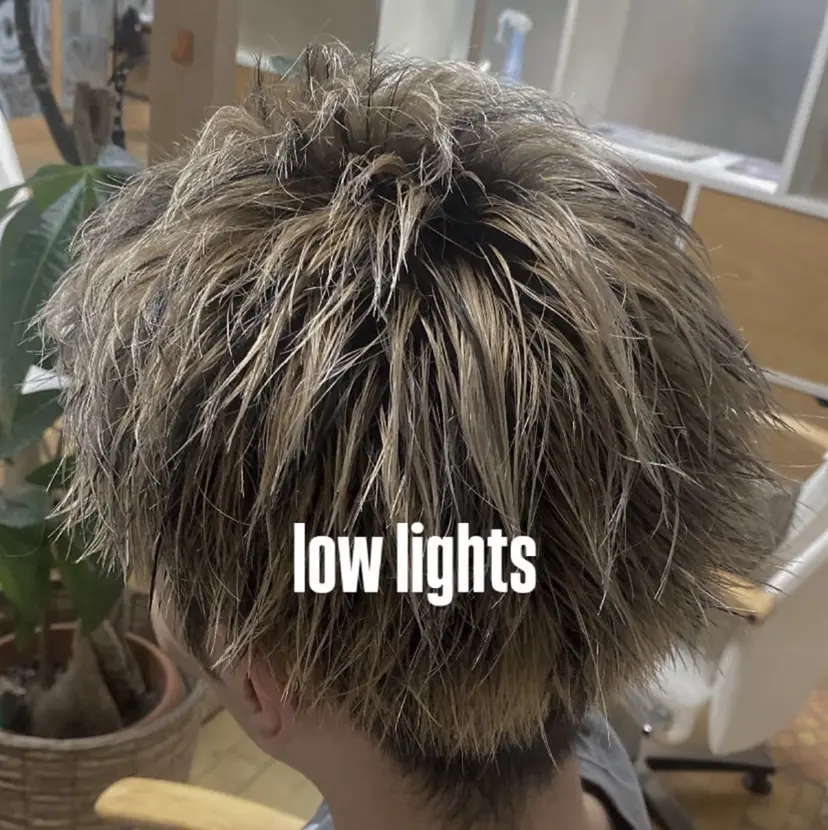 西村 ののかの掲載