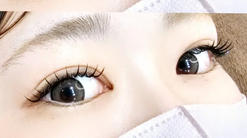 L'Aube byM カネコの掲載