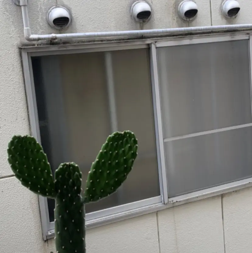 さくら🔅 ungu iE🔅の掲載