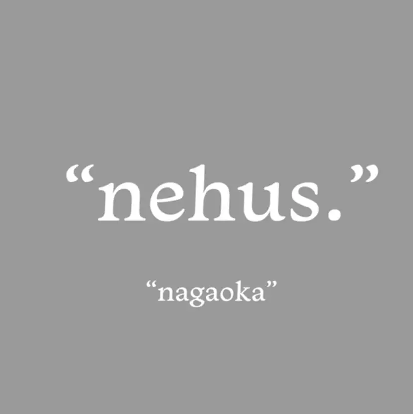 nehus ichikaの掲載
