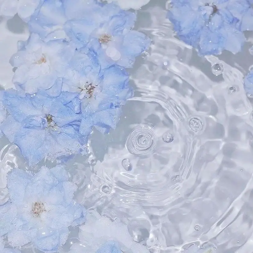 🖤透明感カラー Karen🖤の掲載