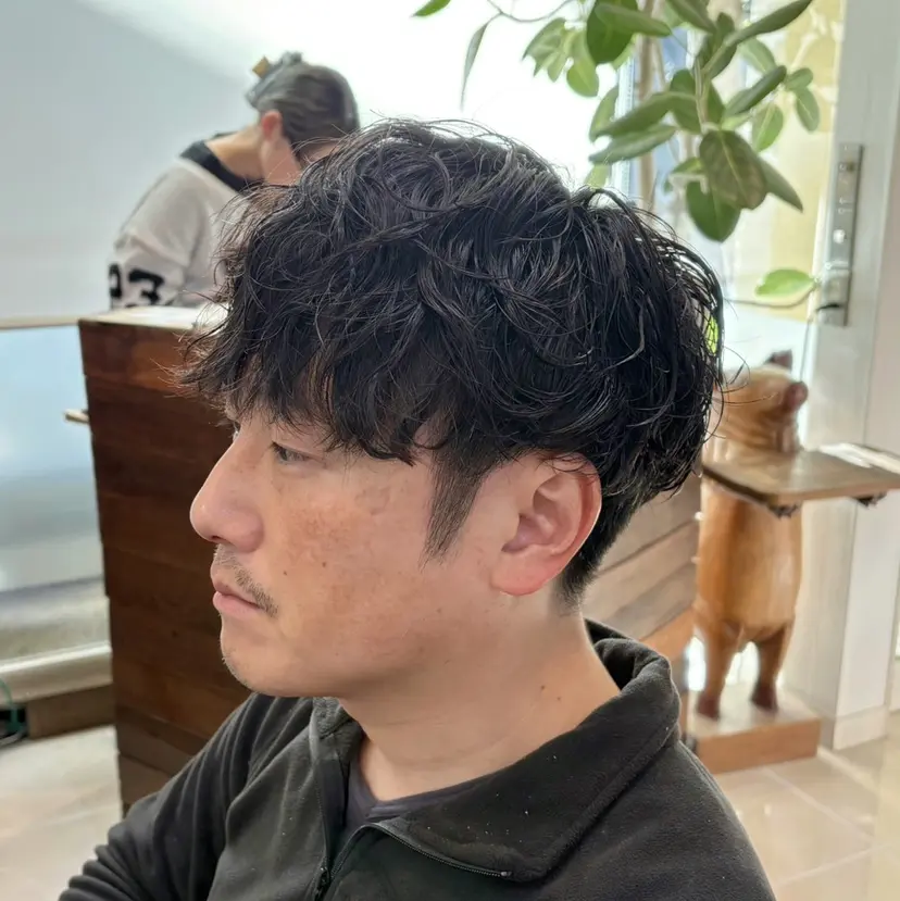 山本 ひかりの掲載