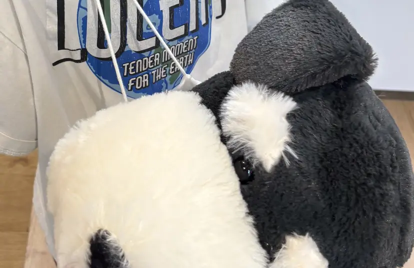 練習モデル募集 nailの掲載